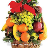 Festive Code - 0677