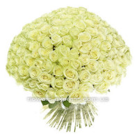 101 white rose Code - 2314