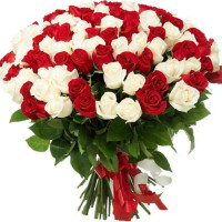 101 rose (any color) Code-9912