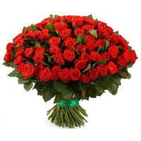 101 rose El Toro Code-8316