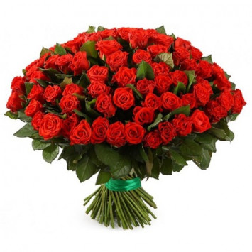 101 троянда Ель Торо Код-8316