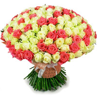 101 rose Code - 3316
