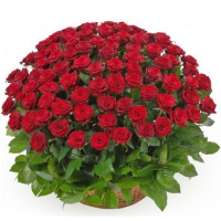 101 roses in a basket Code-5317