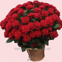 Velvet roses Code - 1213