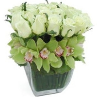 Ideal Code - 12712