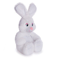 Hare Shustrik Code - 1501