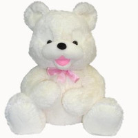 Bear 100 cm Code-1509