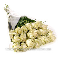 19 roses Avalanche Code - 2359