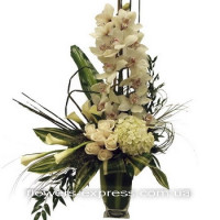 Venice Code - 2302