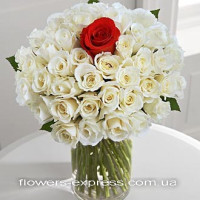 51 roses The only Code - 2312