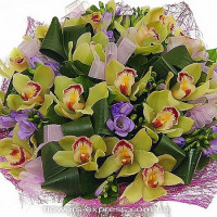 Marchioness Code - 2354