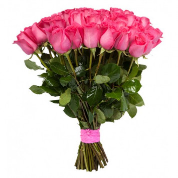 25 високих троянд Топаз Код-9921