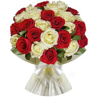 25 roses Code-9711