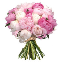 25 пионов Код-8563