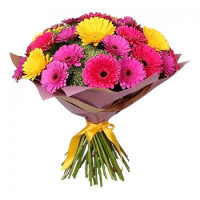31 gerberas Code-8470