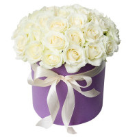 35 white roses Code-4482