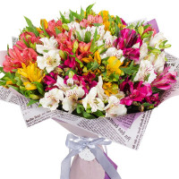 35 Alstroemeria Code - 8465