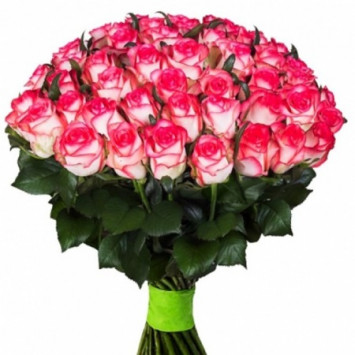 45 троянд Джамілія Код-5125