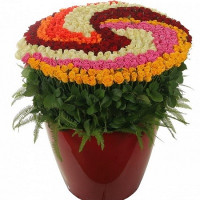 Fairy glade of roses Code - 5599