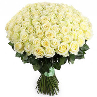 75 roses code-9737