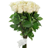 19 tall roses Code-8003