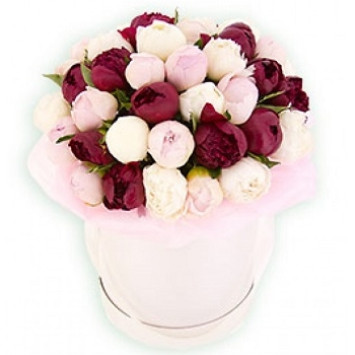 Peonies in a box Code-8561