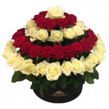 85 roses in a box Code-4486