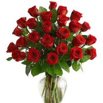 25 roses (any color) Code-9003