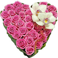 Pink dream Code - 9317