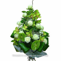 Best regards Code-2328