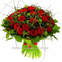 Ovations Code-2342