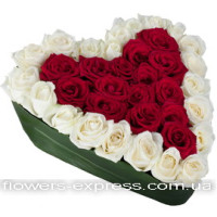 You and me Code - 0828