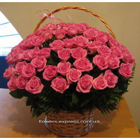 55 pink roses Code - 1281