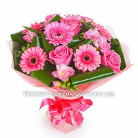 Мечта Код - 2313