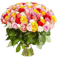 Venice 101 rose Code-7317