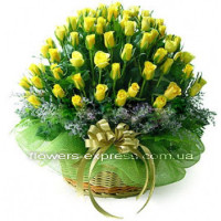 Limonti Code - 1222