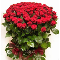 Classic of 75 roses Code-1226
