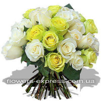 Limonium Code - 2300
