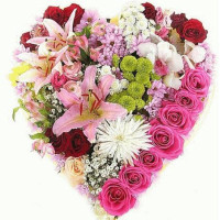 Romantic Code - 14010