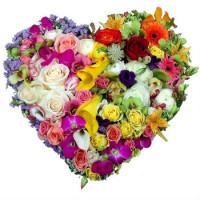 Heart Code - 14011