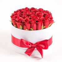 Premium Code-4467