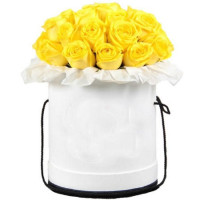 Пенні Лейн Код-0871