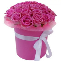 Pink sunset Code-0861