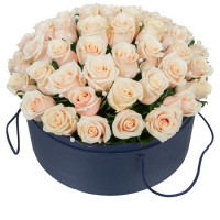 Warm feelings Code-0869