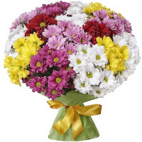 Spring Meadow Code-9713