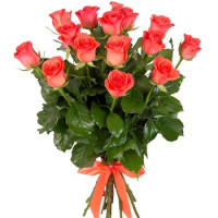 Roses Wow Code-9731