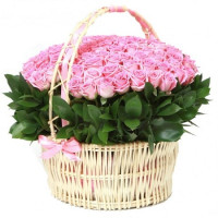 Pink Code - 9932