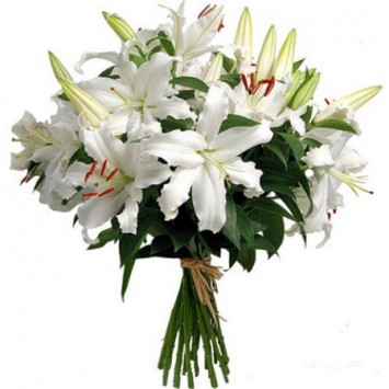 White lilies Code-8460