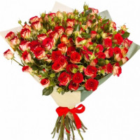 Флоренция Код-8461