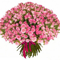 Pink dreams Code-8464